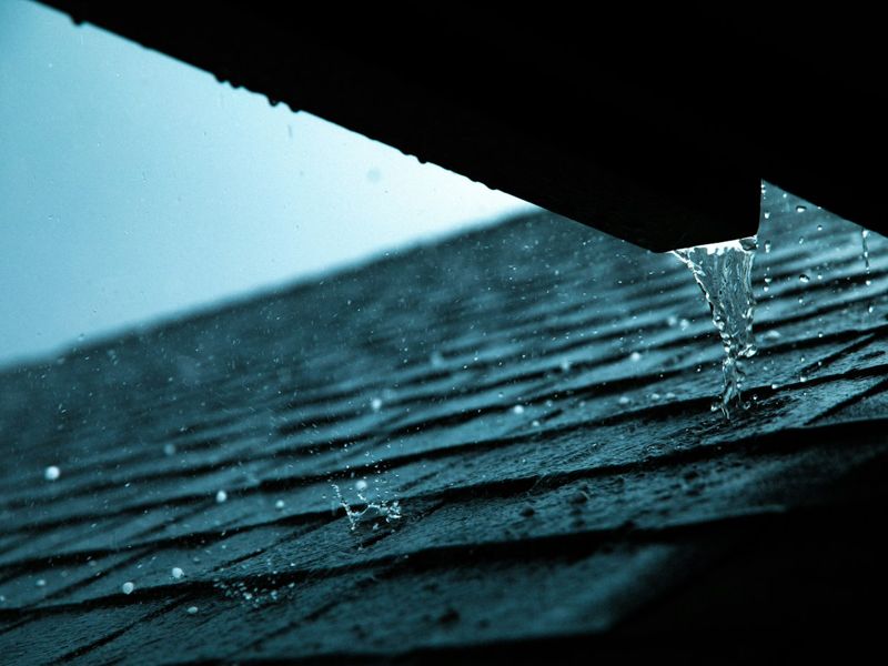 Clean Gutters