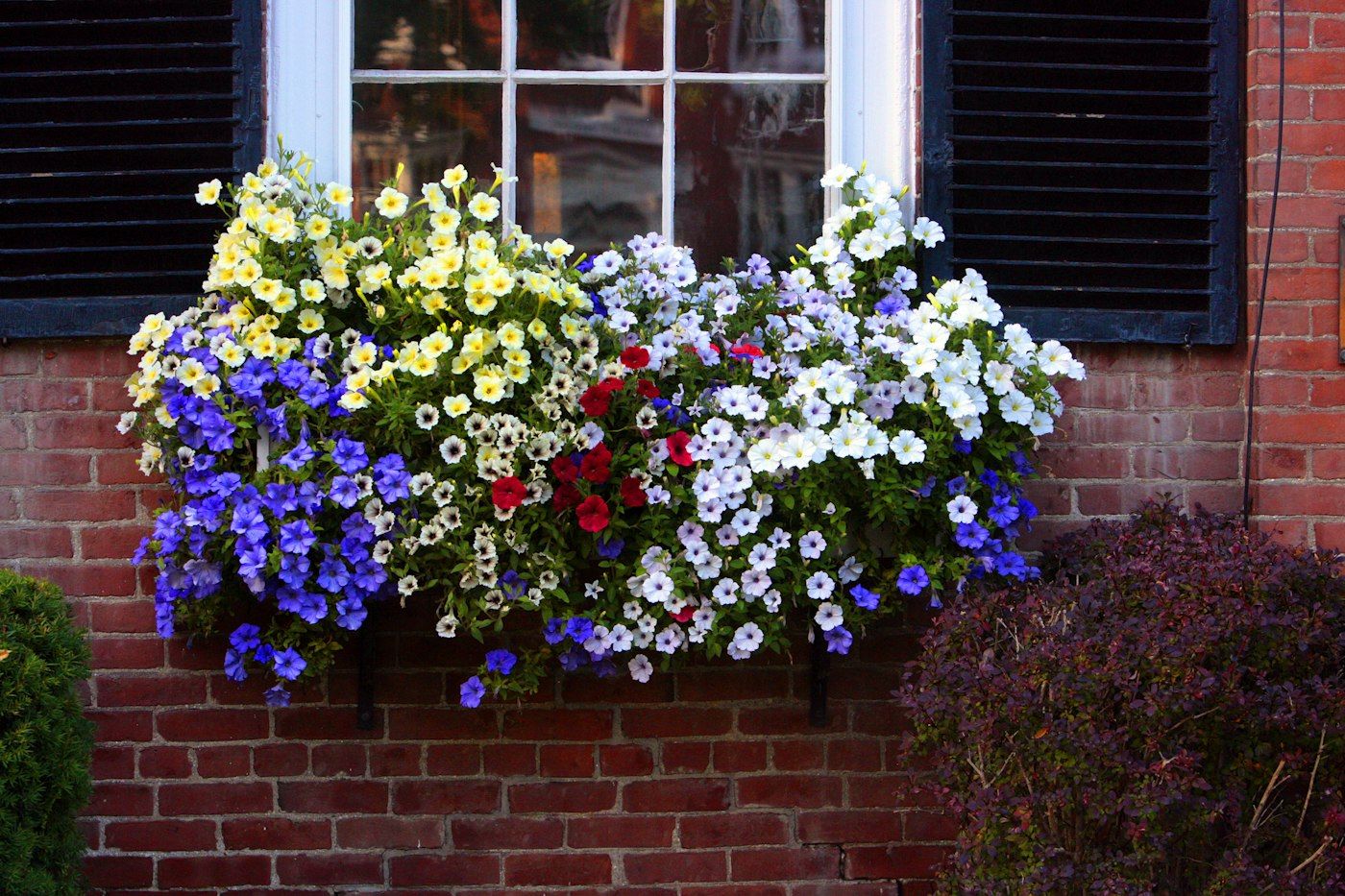 Build and Install Window Flower Boxes