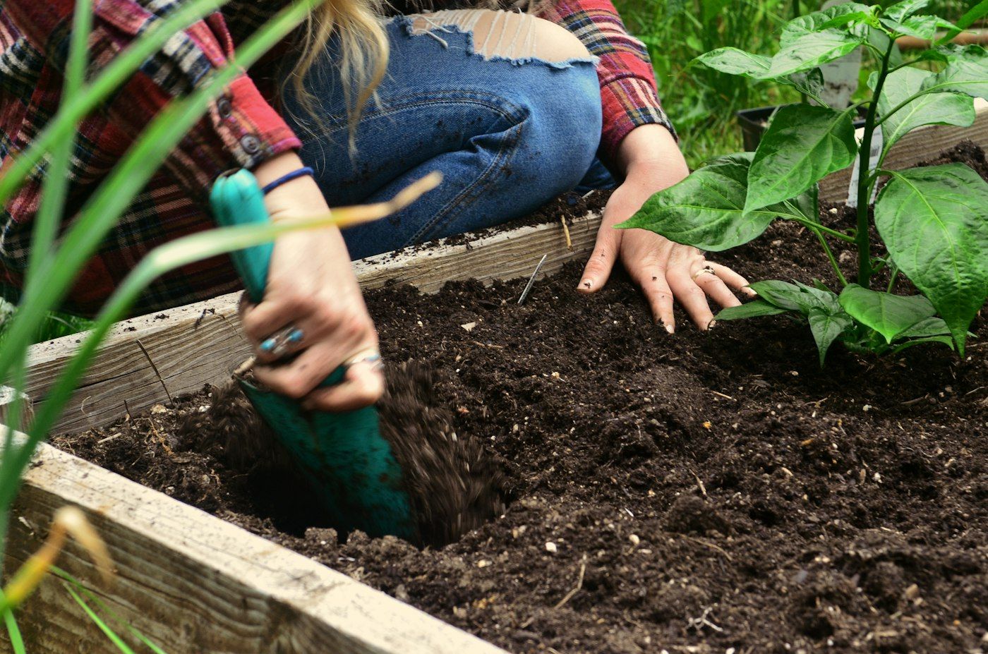 Build a Raised Garden Bed